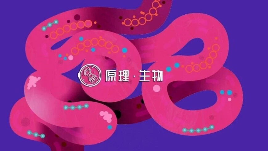 北京已落地科幻企业近800家,2025澳门资料开奖结果,决策资料解释落实_精简版V11.10